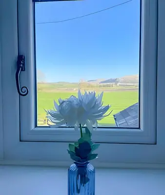 a blue flower in a vase in a window at Cozy Cottage in Caldbeck in Caldbeck