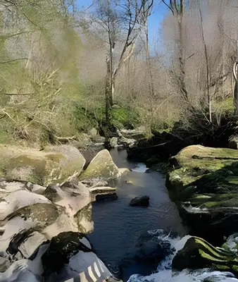 a stream with snow on the rocks and trees at Cozy Cottage in Caldbeck in Caldbeck