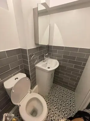 a bathroom with a toilet and a sink at Bow Church in Moffat