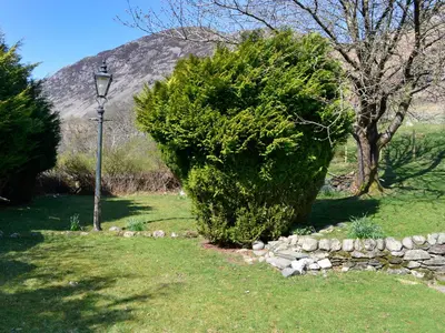 a large green bush next to a street light at Rattlebeck Cottage in Glenridding