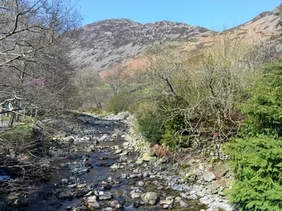 a stream of rocks and trees with a mountain in the background at Rattlebeck Cottage in Glenridding