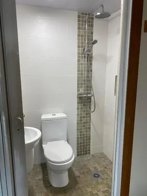 a bathroom with a toilet and a shower at Folly gardens in Moffat