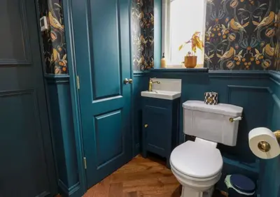 a blue bathroom with a toilet and a sink at Our Cosy Cottage in Gatehouse of Fleet