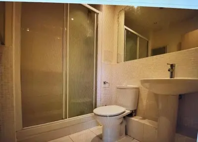 a bathroom with a shower and a toilet and a sink at Grebe House in Moffat