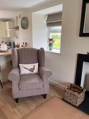 a living room with a chair with a pillow on it at Williamsfield Cottage in Holywood