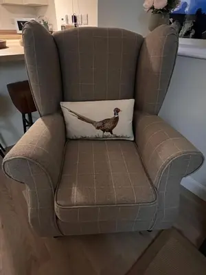 a brown chair with a bird pillow on it at Williamsfield Cottage in Holywood
