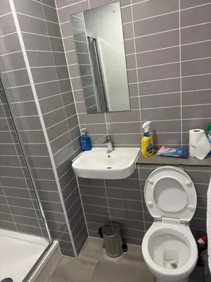 a bathroom with a sink and a toilet and a mirror at Stylish Flat in City Center in Moffat
