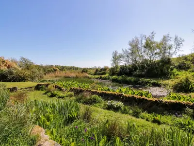 a garden with flowers in a field at Claymoddie in Newton Stewart