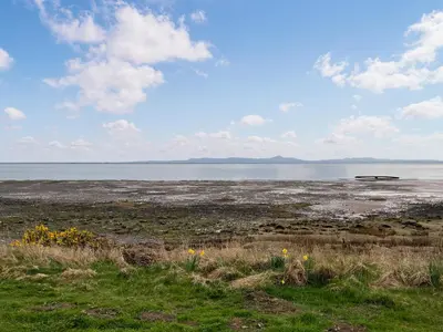 a view of the ocean from a field with flowers at The Haven in Annan