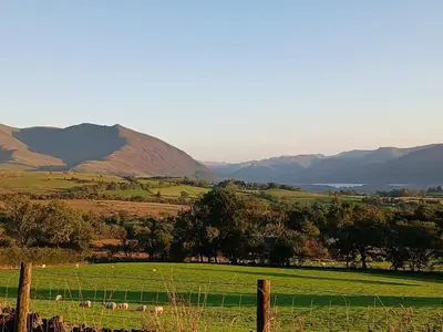 a herd of sheep grazing in a field behind a fence at Emilys View, Ireby budget accommodation with fell views in Ireby