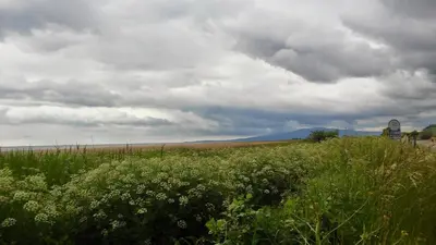 a field of grass with a clock in the distance at Shoreside in Powfoot
