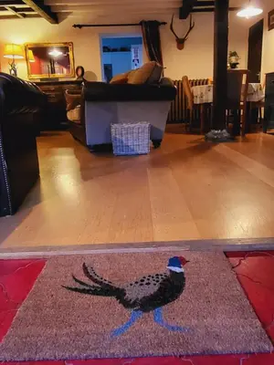 a chicken on a rug in a living room at Ash Lodge at The Barn in Gosforth