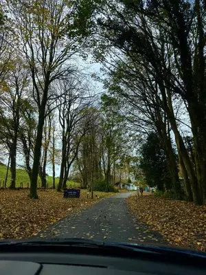a car driving down a road with trees and leaves at Moselle - 6 Squirrel View in Ballantrae