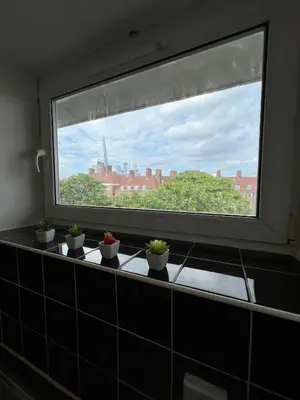 a window with potted plants sitting on a ledge at Flat in London Bridge in Moffat