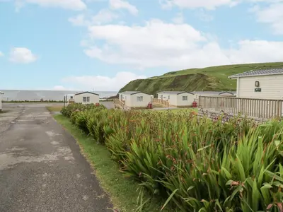 a road with houses and a field of flowers at Sandpiper in St Bees
