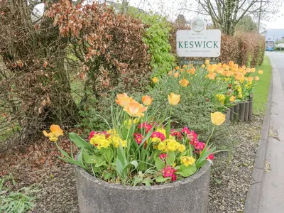 a bunch of flowers in a pot next to a sign at Swirl Howe in Keswick