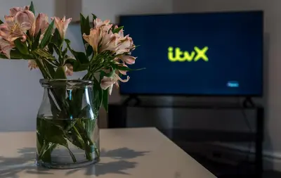 a vase of flowers sitting on a table with a tv at Bega House Apartment in Whitehaven