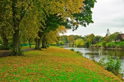 a path next to a river with trees at Modern Two-Bedroom Apartment Near River with Free Parking & WiFi in Dumfries