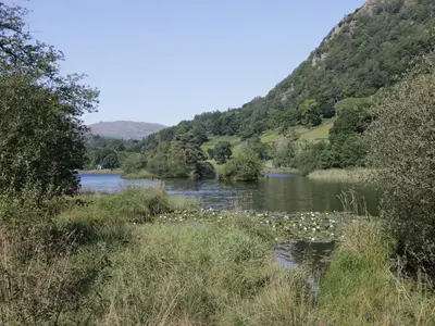 a river with a bunch of flowers in the water at Shelley in Ambleside