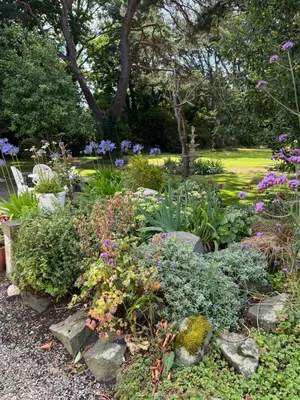 a garden with flowers and rocks and trees at Lower Milntown Farm in Ramsey