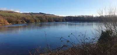 a view of a large lake with trees in the background at Ample town house in Workington, West Lakes, Lake District in Workington