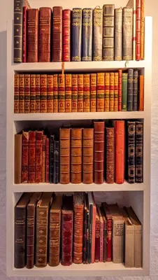 a book shelf filled with lots of books at Spedlins Castle in Templand