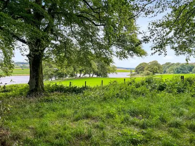 a tree in the grass next to a body of water at Andromeda - Uk50359 in Castle Douglas