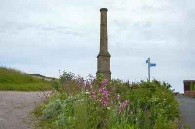a pole in the middle of a field of flowers at Holly Terrace - 2 Bedrooms - Sleeps 3 in Whitehaven