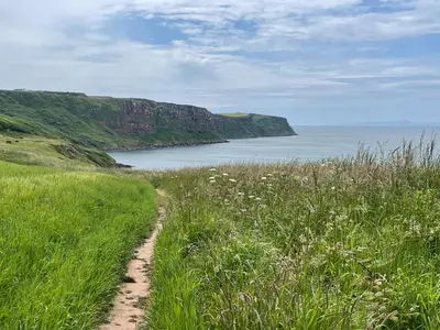 a path through a field of grass next to a body of water at Holly Terrace - 2 Bedrooms - Sleeps 3 in Whitehaven