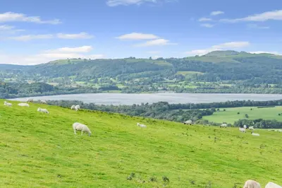 a herd of sheep grazing on a grassy hill at 1 Bed in Keswick oc-c33119 in Bassenthwaite