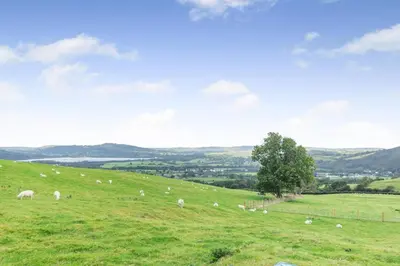 a herd of sheep grazing on a grassy hill at 1 Bed in Keswick oc-f33118 in Bassenthwaite