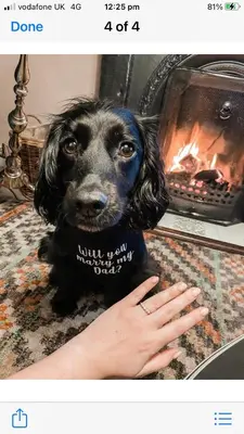 a black dog sitting on a rug next to a fireplace at Evas cottage near Scafell in Gosforth