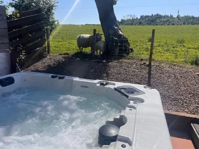 a hot tub with two sheep standing in a field at Woodlane 3bedroom7 seater hottub and a pool table in Beeswing