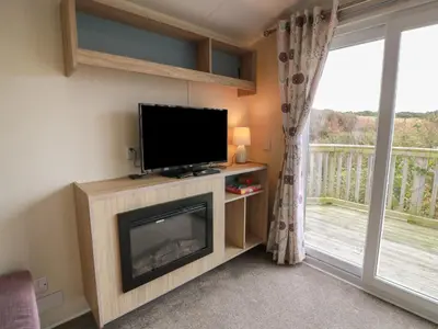 a living room with a flat screen tv and a fireplace at Peaceful in Stranraer