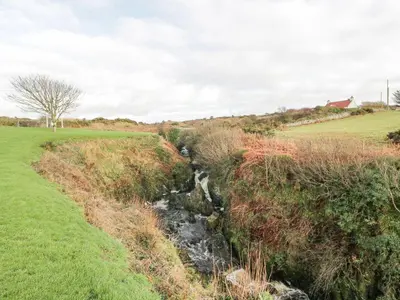 a stream in the middle of a grassy field at Ellies House in Stranraer