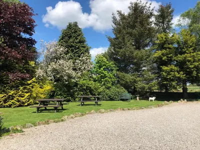 a park with benches and a dog in the grass at Lane Head Farm Country Guest House in Troutbeck