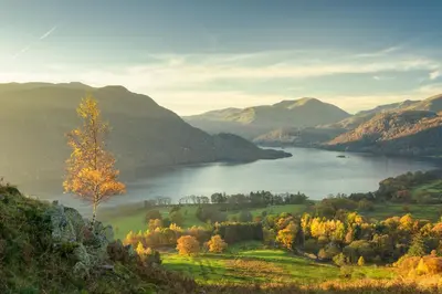 a view of a lake in the mountains with a tree at Landal Ullswater Heights in Great Blencow
