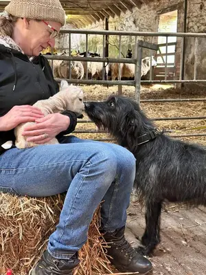 a woman sitting next to a black dog and a dog at Amazing Sunsets and Sea Views - Lodge Cabin Farm Stay - Caol Ila - Lodge 8 in Stranraer