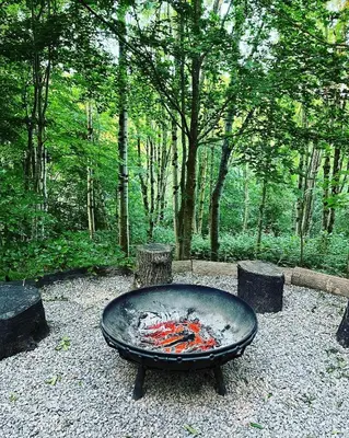 a fire pit in the middle of a forest at Ty Cwtch Cabin - secluded woodland cabin & covered hot tub in Moffat