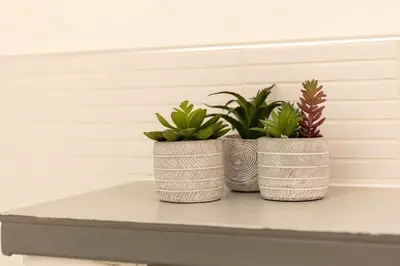 two plants in baskets sitting on a shelf at Old Prestwick Point - Donnini Apartments in Prestwick