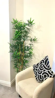 a living room with a chair and a plant at Luxury Spacious Double Room, Mill Hill, London NW7 3BD in Moffat