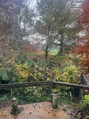 a wooden boardwalk in a park with trees and leaves at The Holm in Canonbie