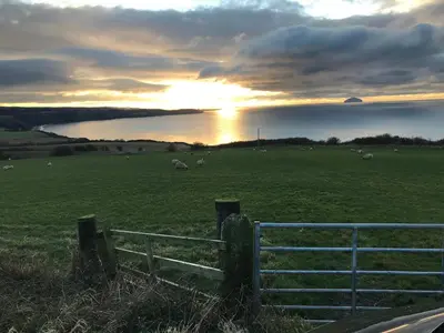 a herd of sheep grazing in a field with a fence at Close to beaches and golf courses in Maybole
