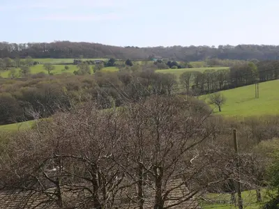a view of a field with trees in the foreground at Woodlea Cottage in Moffat
