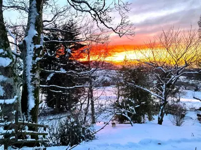 a sunset in the winter with snow covered trees at 5 Bed in Wigton oc-b34111 in Caldbeck