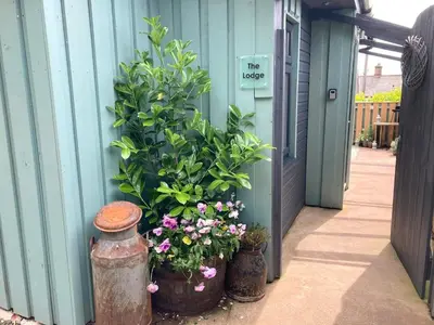 a group of plants and flowers in pots next to a building at Handy for Lake District, detached property in Penruddock