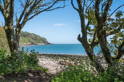 a beach with trees and the ocean in the background at Orroland Holiday Cottages in Dundrennan