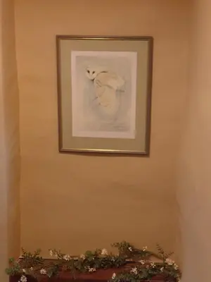 a picture of an owl hanging on a wall at Maggies Cottage in Little Broughton