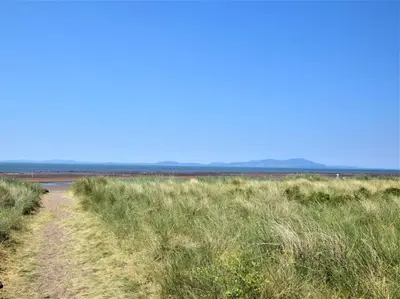 a dirt road through a field of tall grass at 3 Bed in Maryport oc-sz102 in Allonby