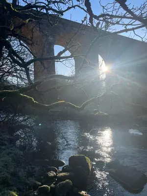 a bridge over a river with the sun shining at West Coast Whistlestop in Ochiltree